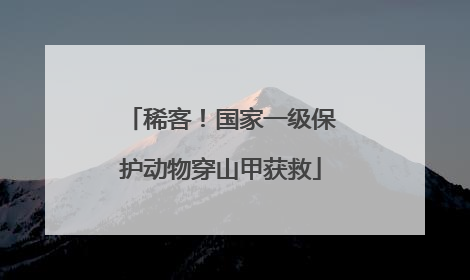 稀客！国家一级保护动物穿山甲获救