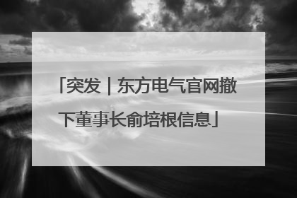 突发｜东方电气官网撤下董事长俞培根信息