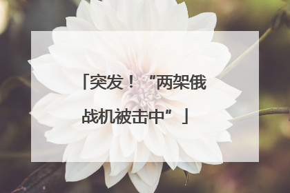 突发！“两架俄战机被击中”