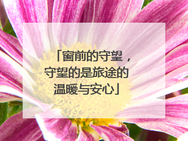 窗前的守望，守望的是旅途的温暖与安心