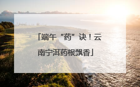 端午“药”诀！云南宁洱药根飘香