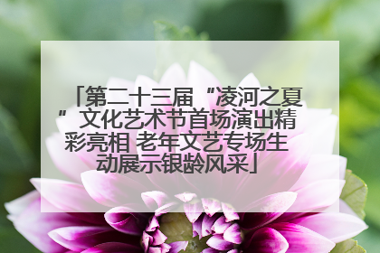 第二十三届“凌河之夏”文化艺术节首场演出精彩亮相 老年文艺专场生动展示银龄风采