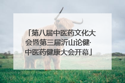 第八届中医药文化大会暨第三届沂山论健·中医药健康大会开幕
