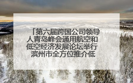 第六届跨国公司领导人青岛峰会通用航空和低空经济发展论坛举行 滨州市全方位推介低空经济发展优势
