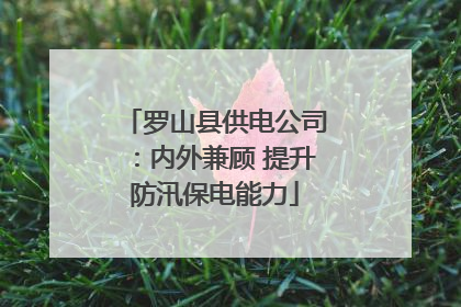 罗山县供电公司：内外兼顾 提升防汛保电能力