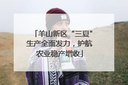 羊山新区“三夏”生产全面发力，护航农业稳产增收