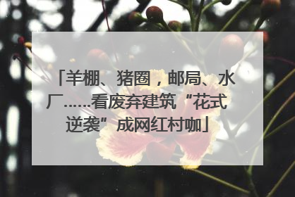羊棚、猪圈，邮局、水厂……看废弃建筑“花式逆袭”成网红村咖