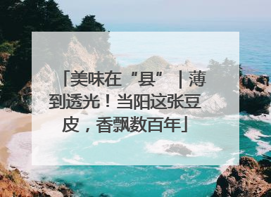 美味在“县”｜薄到透光！当阳这张豆皮，香飘数百年