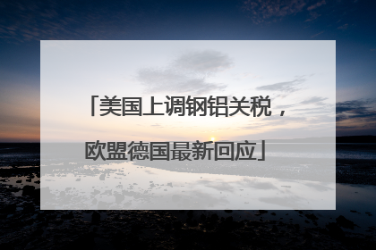 美国上调钢铝关税，欧盟德国最新回应