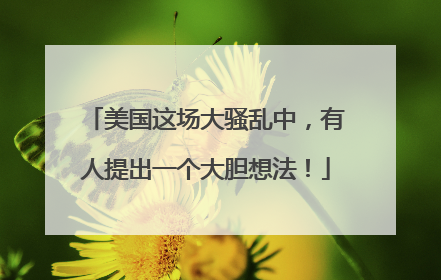 美国这场大骚乱中，有人提出一个大胆想法！