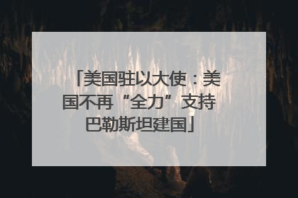 美国驻以大使：美国不再“全力”支持巴勒斯坦建国