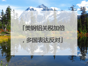 美钢铝关税加倍，多国表达反对