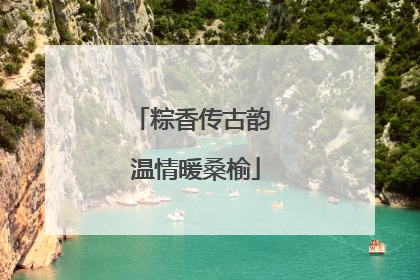 粽香传古韵 温情暖桑榆
