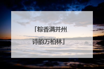 粽香满并州 诗韵万柏林
