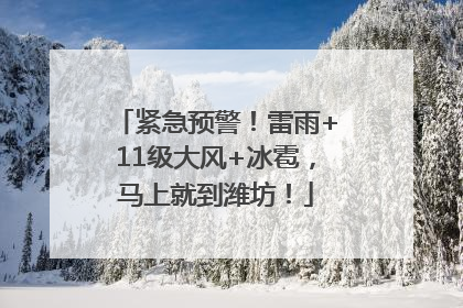 紧急预警！雷雨+11级大风+冰雹，马上就到潍坊！