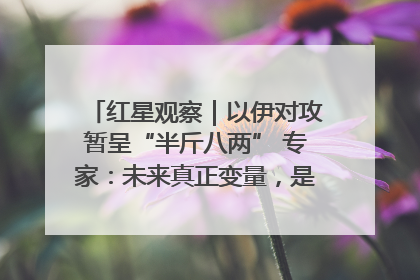 红星观察｜以伊对攻暂呈“半斤八两” 专家：未来真正变量，是美国是否进一步介入