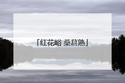 红花峪 桑葚熟