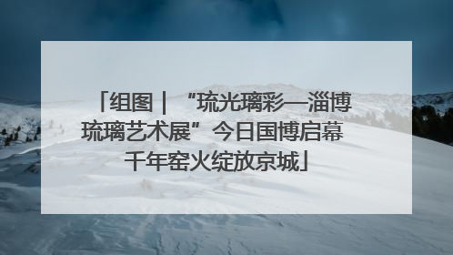 组图｜“琉光璃彩—淄博琉璃艺术展”今日国博启幕 千年窑火绽放京城