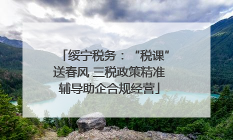 绥宁税务：“税课”送春风 三税政策精准辅导助企合规经营