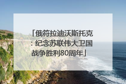 俄符拉迪沃斯托克：纪念苏联伟大卫国战争胜利80周年