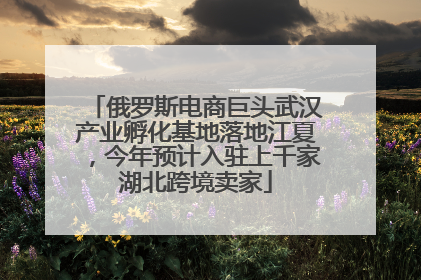 俄罗斯电商巨头武汉产业孵化基地落地江夏，今年预计入驻上千家湖北跨境卖家
