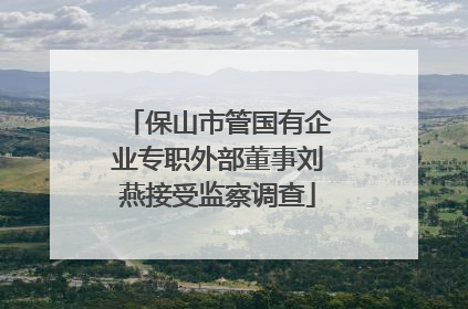 保山市管国有企业专职外部董事刘燕接受监察调查
