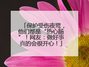 保护受伤夜鹭，他们都是“热心肠”！网友：做好事真的会很开心！
