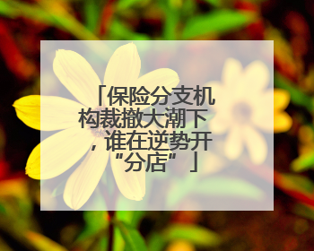 保险分支机构裁撤大潮下，谁在逆势开“分店”