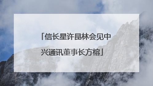 信长星许昆林会见中兴通讯董事长方榕