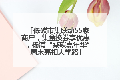低碳市集联动55家商户，集章换券享优惠，杨浦“减碳嘉年华”周末亮相大学路