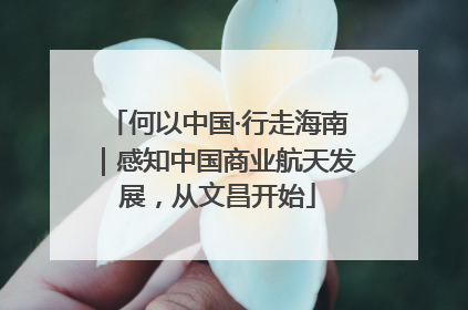 何以中国·行走海南｜感知中国商业航天发展，从文昌开始