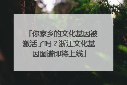 你家乡的文化基因被激活了吗？浙江文化基因图谱即将上线