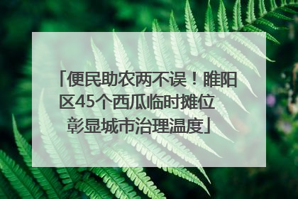 便民助农两不误！睢阳区45个西瓜临时摊位 彰显城市治理温度