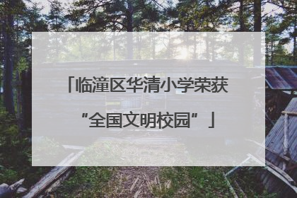 临潼区华清小学荣获“全国文明校园”
