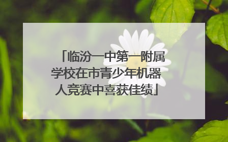 临汾一中第一附属学校在市青少年机器人竞赛中喜获佳绩