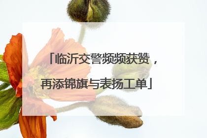 临沂交警频频获赞，再添锦旗与表扬工单