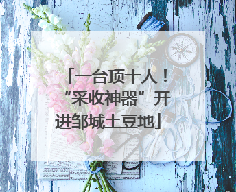 一台顶十人！“采收神器”开进邹城土豆地