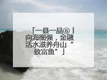 一县一品⑥丨向海图强，金融活水滋养舟山“致富鱼”