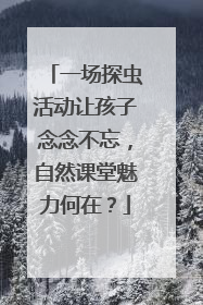 一场探虫活动让孩子念念不忘，自然课堂魅力何在？