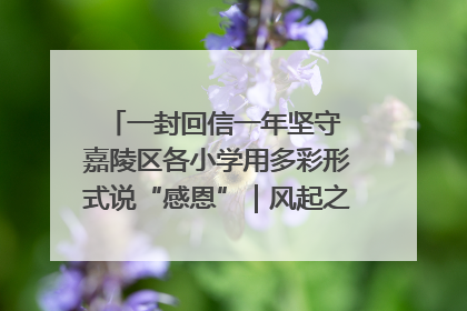 一封回信一年坚守 嘉陵区各小学用多彩形式说“感恩”｜风起之江 扶摇直上