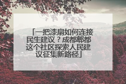 一把漆扇如何连接民生建议？成都郫都这个社区探索人民建议征集新路径