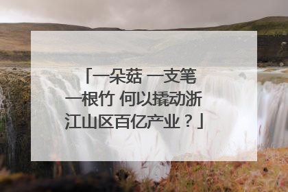 一朵菇 一支笔 一根竹 何以撬动浙江山区百亿产业？