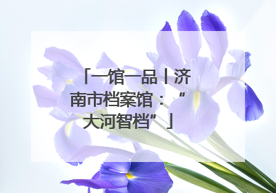 一馆一品丨济南市档案馆：“大河智档”