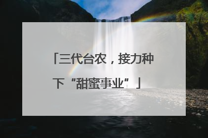 三代台农，接力种下“甜蜜事业”