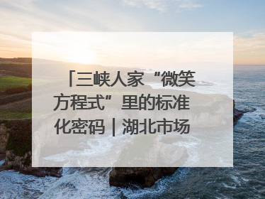 三峡人家“微笑方程式”里的标准化密码｜湖北市场监管所的故事