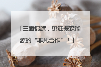 三面锦旗，见证振森能源的“非凡合作”！