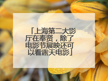 上海第二大影厅在奉贤，除了电影节展映还可以看露天电影