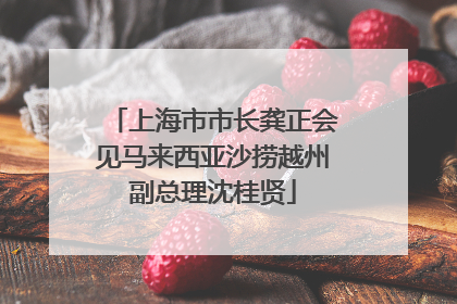 上海市市长龚正会见马来西亚沙捞越州副总理沈桂贤