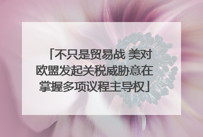 不只是贸易战 美对欧盟发起关税威胁意在掌握多项议程主导权