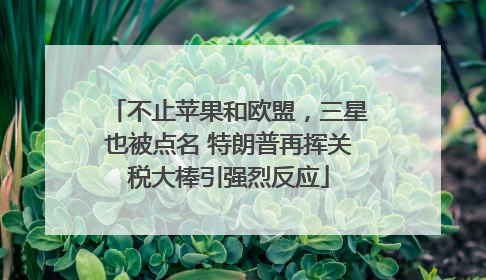 不止苹果和欧盟，三星也被点名 特朗普再挥关税大棒引强烈反应